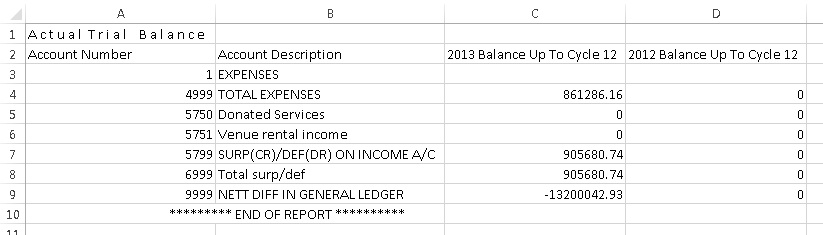 Trial Balance in Excel - Comparative Year