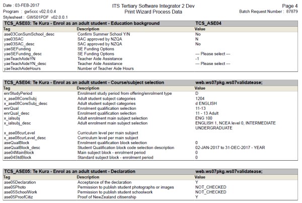 Print Wizard Process Data Page 4